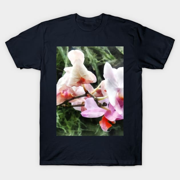 Pale Pink Phalaenopsis Orchids T-Shirt by SusanSavad